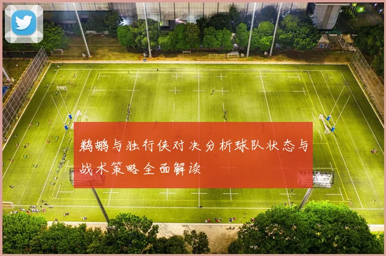 鹈鹕与独行侠对决分析球队状态与战术策略全面解读